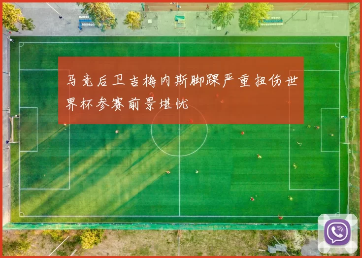 马竞后卫吉梅内斯脚踝严重扭伤世界杯参赛前景堪忧
