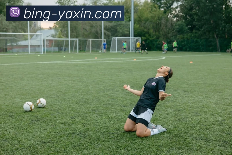 亚新体育APP 封面图